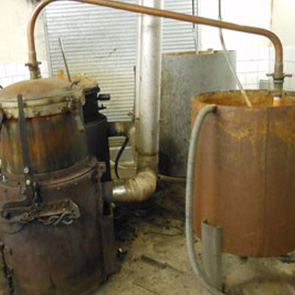 maison-garnier - fruits