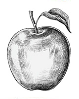 Maison garnier - pomme